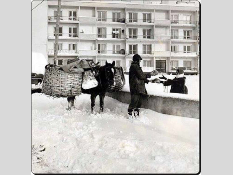 1954 - İstanbul'da yaşanan büyük kış mevsimi 37